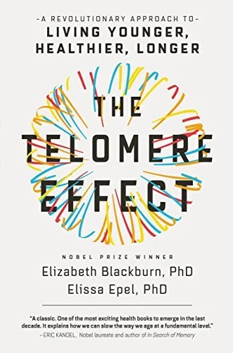 Book cover of by